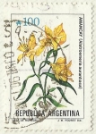 Stamps Argentina -  AMANCAY