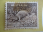 Stamps Australia -  Platypus (Ornitorrinco)