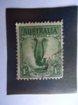 Stamps Australia -  Lyrebiro.- Pájaro Lira -(Lire Biro)
