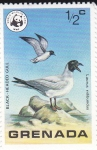Stamps Grenada -  Laurus ridibundus
