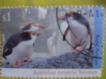 Stamps Australia -  Australian Antarctic Territory .-Royal Penguin