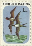Stamps : Asia : Maldives :  FRAGATAS