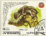 Stamps : Asia : Yemen :  LEOPARDO