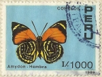 Stamps Peru -  AMYDON - HEMBRA
