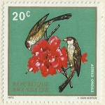 Stamps : Africa : Rwanda :  ASTRILD ONDULE
