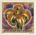 Stamps Rwanda -  GEASTER