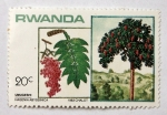 Stamps Rwanda -  Arbol Nativo