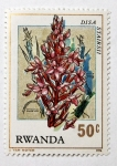 Sellos de Africa - Rwanda -  Plantas