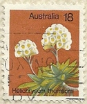 Stamps : Oceania : Australia :  HELICHRYSUM THOMSONII