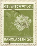 Stamps : Asia : Bangladesh :  FLOR