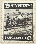 Stamps : Asia : Bangladesh :  ARANDO CON BUEYES
