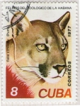 Sellos del Mundo : America : Cuba : 109 Felinos del zoológico de la Habana