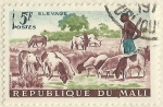 Stamps : Africa : Mali :  PASTOR CON SU GANADO