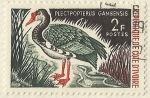 Stamps Mali -  PLECYPOPTERUS GAMBENSIS