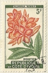 Stamps Mali -  PLUMERIA RUBRA
