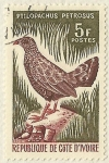 Stamps Africa - Mali -  PTILOPACHUS PETROSUS
