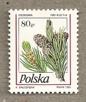 Stamps Poland -  Piña