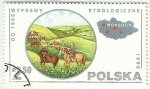 Stamps Poland -  ETNOLOGIA