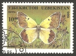 Stamps : Asia : Uzbekistan :  Mariposa