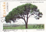 Sellos de Europa - Espaa -  Pino de Fuentepiña- Moguer (Huelva)      (J)