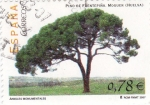 Stamps Spain -  Pino de Fuentepiña- Moguer (Huelva)      (J)