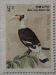 Sellos de Asia - Nepal -  buceros bicornis 1977