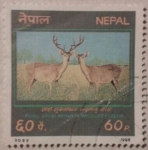 Stamps Nepal -  royal shukla aphanta wildlife reserve 1988