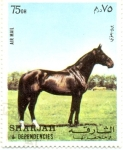 Stamps United Arab Emirates -  caballo