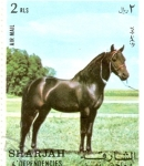 Stamps : Asia : United_Arab_Emirates :  caballo