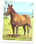 Stamps United Arab Emirates -  caballo