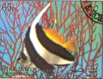 Stamps United Arab Emirates -  peces