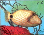 Stamps : Asia : United_Arab_Emirates :  peces