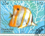 Sellos de Asia - Emiratos rabes Unidos -  peces