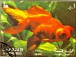 Stamps : Asia : United_Arab_Emirates :  peces