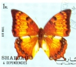 Stamps United Arab Emirates -  mariposas