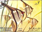 Stamps : Asia : United_Arab_Emirates :  peces