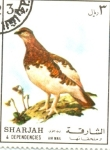 Stamps : Asia : United_Arab_Emirates :  aves