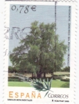 Stamps Spain -  Arboles Monumentales-Jardines del Retiro (Madrid)           (J)