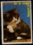 Stamps : Africa : Equatorial_Guinea :  Gato Europeo