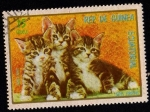 Sellos de Africa - Guinea Ecuatorial -  Gatos Europeos