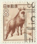 Stamps : Asia : Japan :  CIERVO