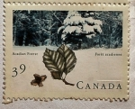 Sellos de America - Canad� -  Acadian Forest