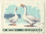 Stamps North Korea -  OCAS