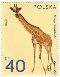 Stamps Poland -  JIRAFA