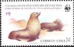 Stamps : America : Chile :  LOBO DE MAR DE DOS PELOS - ANIMALES EN PELIGRO DE EXTINCION