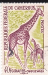 Stamps Cameroon -  Jirafas en Campo de Waza