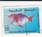 Stamps Morocco -  pez-Lampris Guttatus