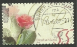 Stamps Germany -  Flora, rosa