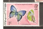 Stamps Belize -  LYCAENIDAE