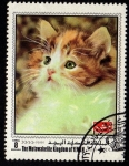 Stamps Yemen -  GATO